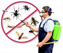 Insect control
